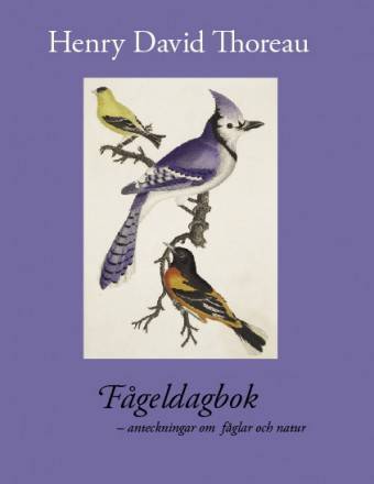 Fågeldagbok : anteckningar om fåglar och natur