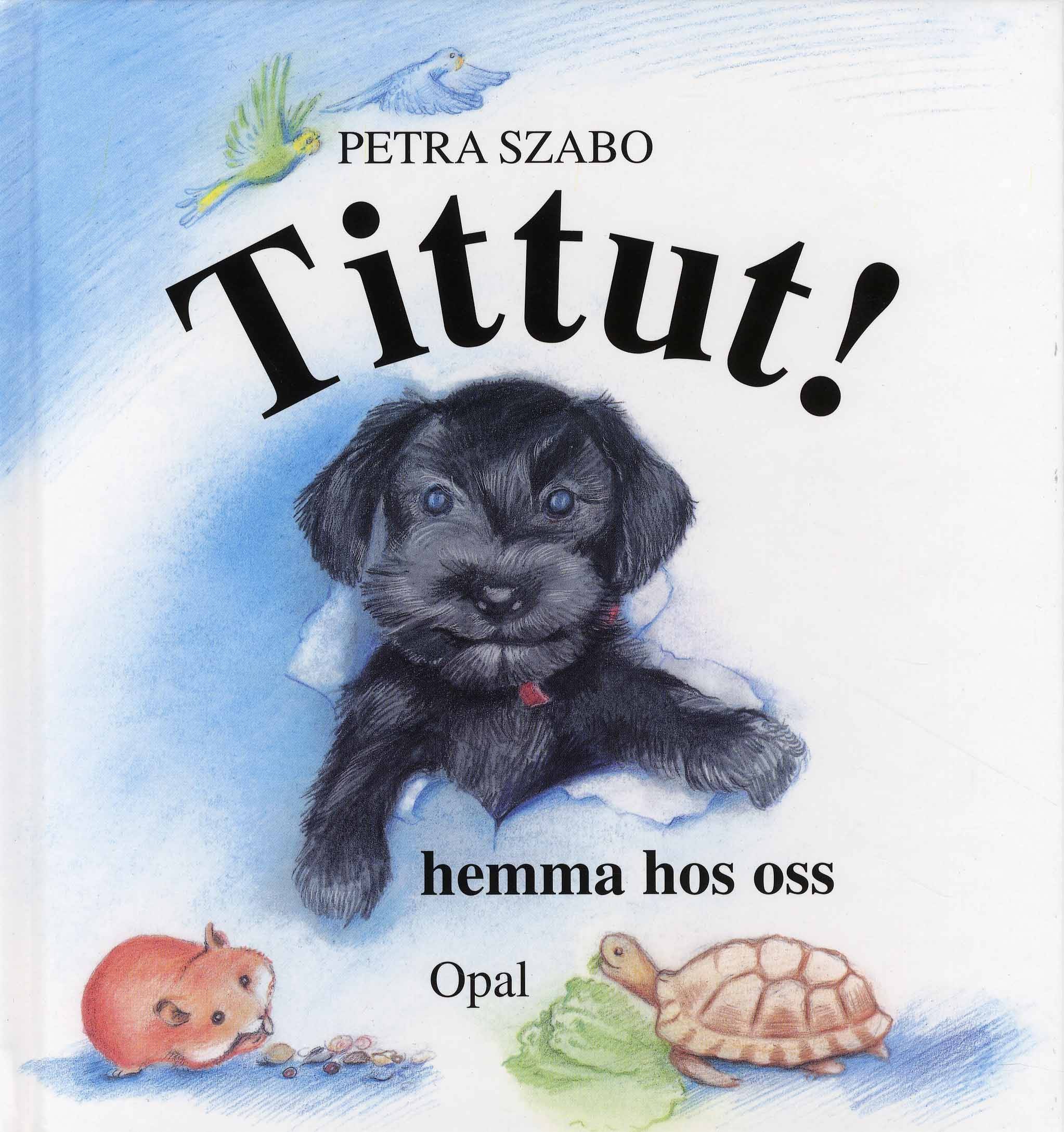 Tittut hemma hos oss