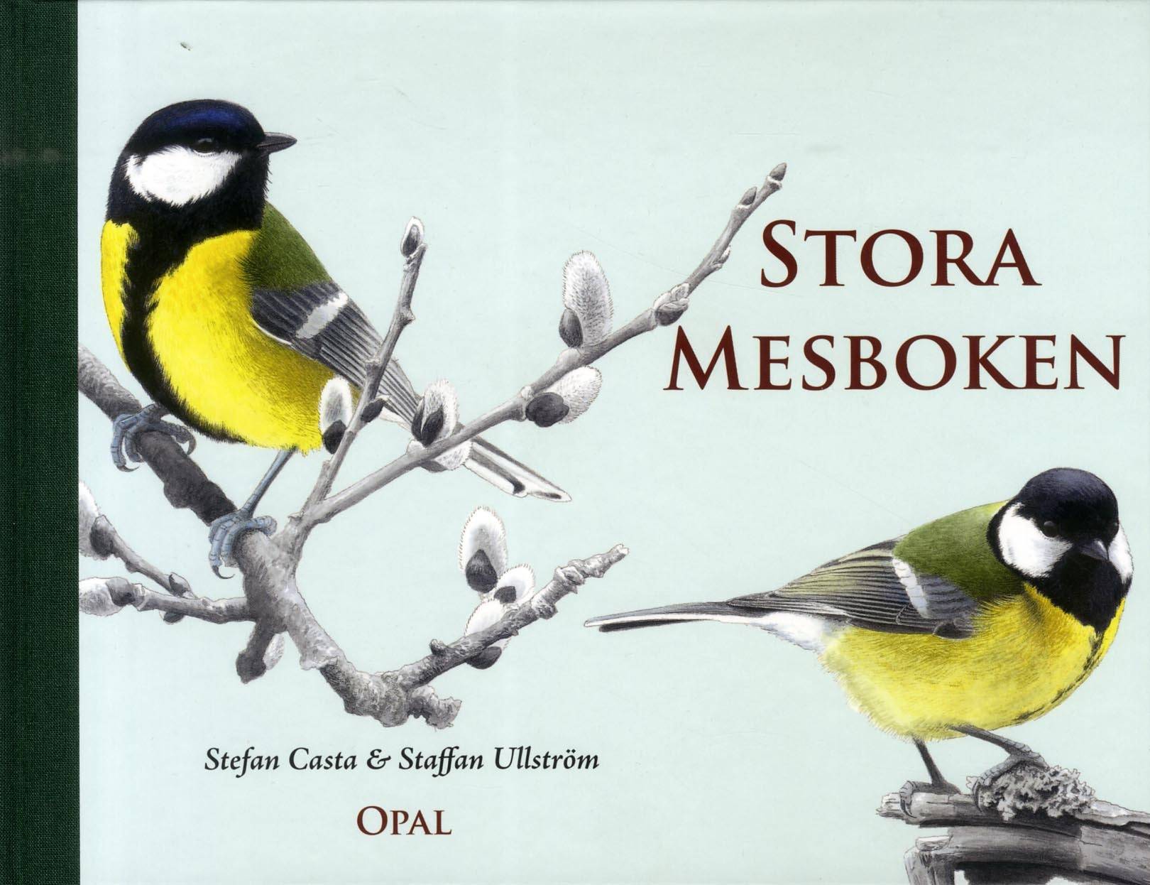 Stora mesboken