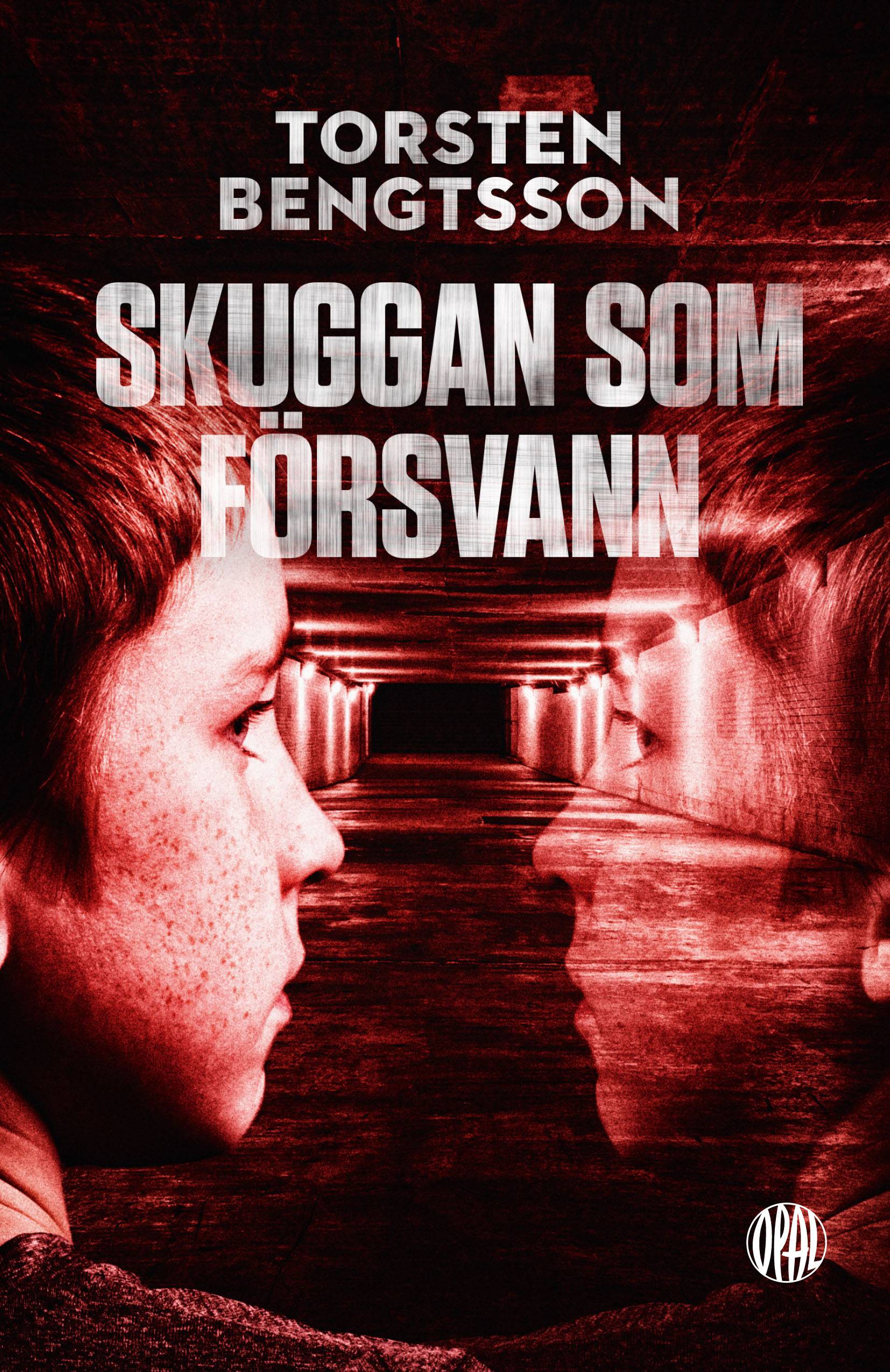 Skuggan som försvann