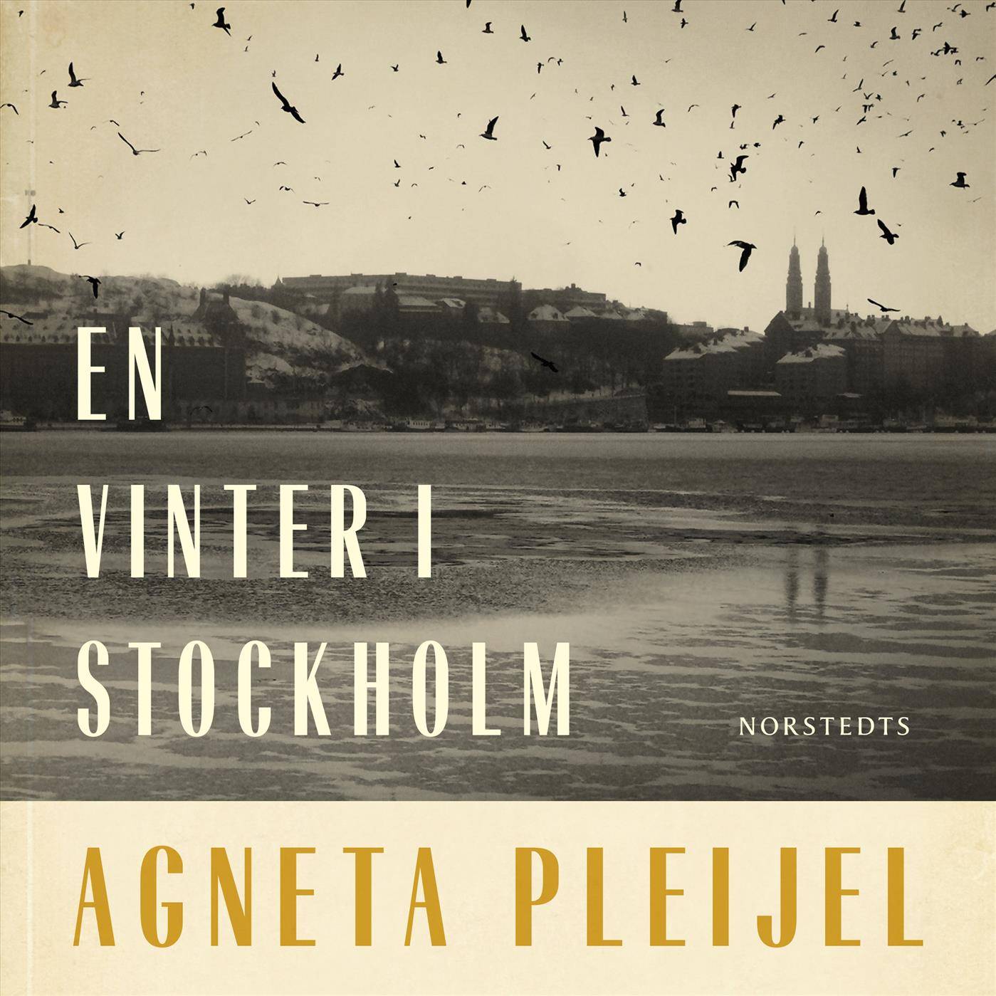 En vinter i Stockholm