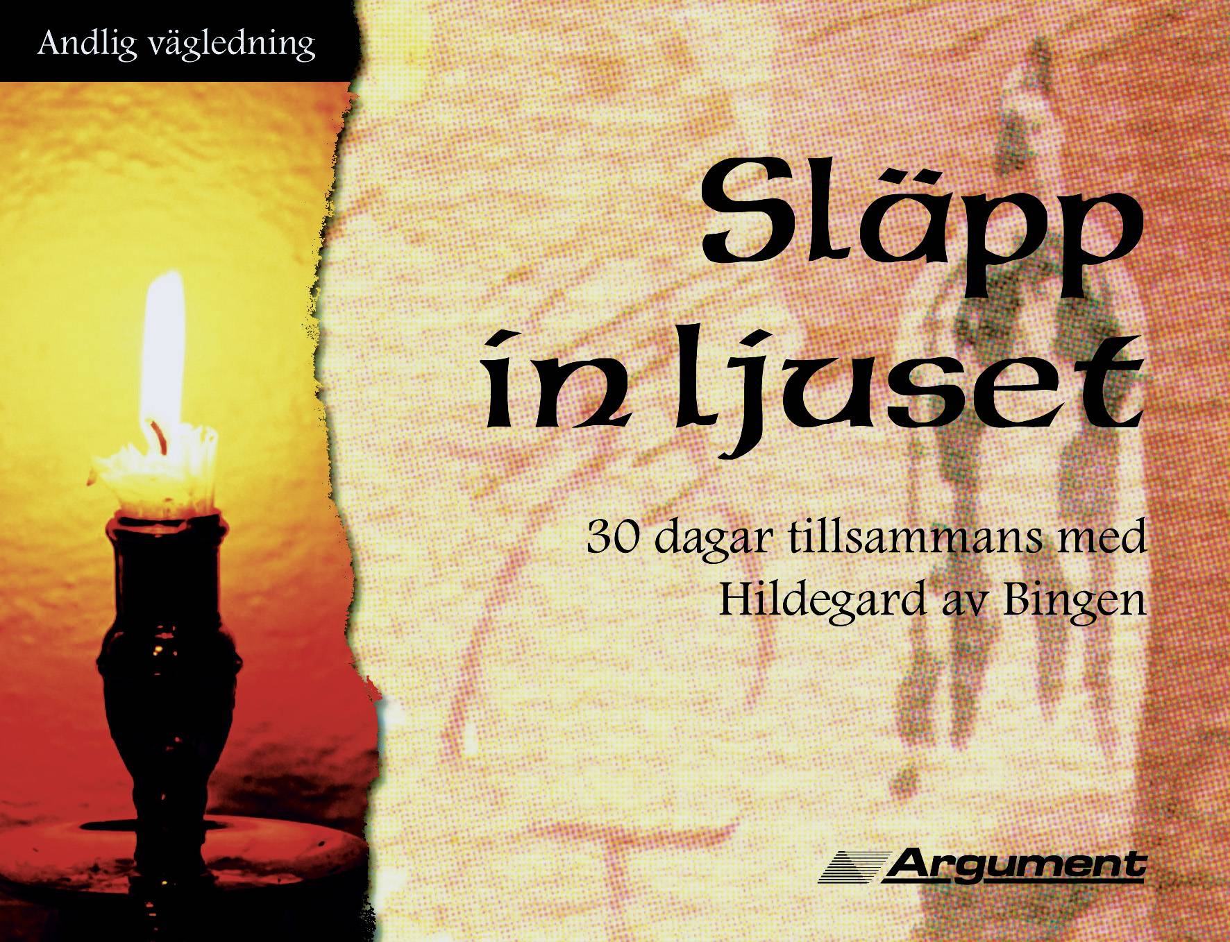 Släpp in ljuset : 30 dagar tillsammans med Hildegard av Bingen