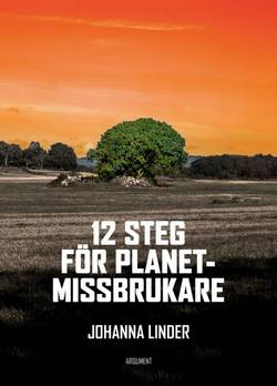 12 steg för planetmissbrukare