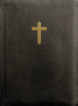Bibel 2026 (svart) konstskinn med noter