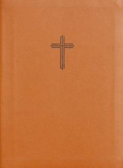 Bibel 2026 (honung) - konstskinn utan noter