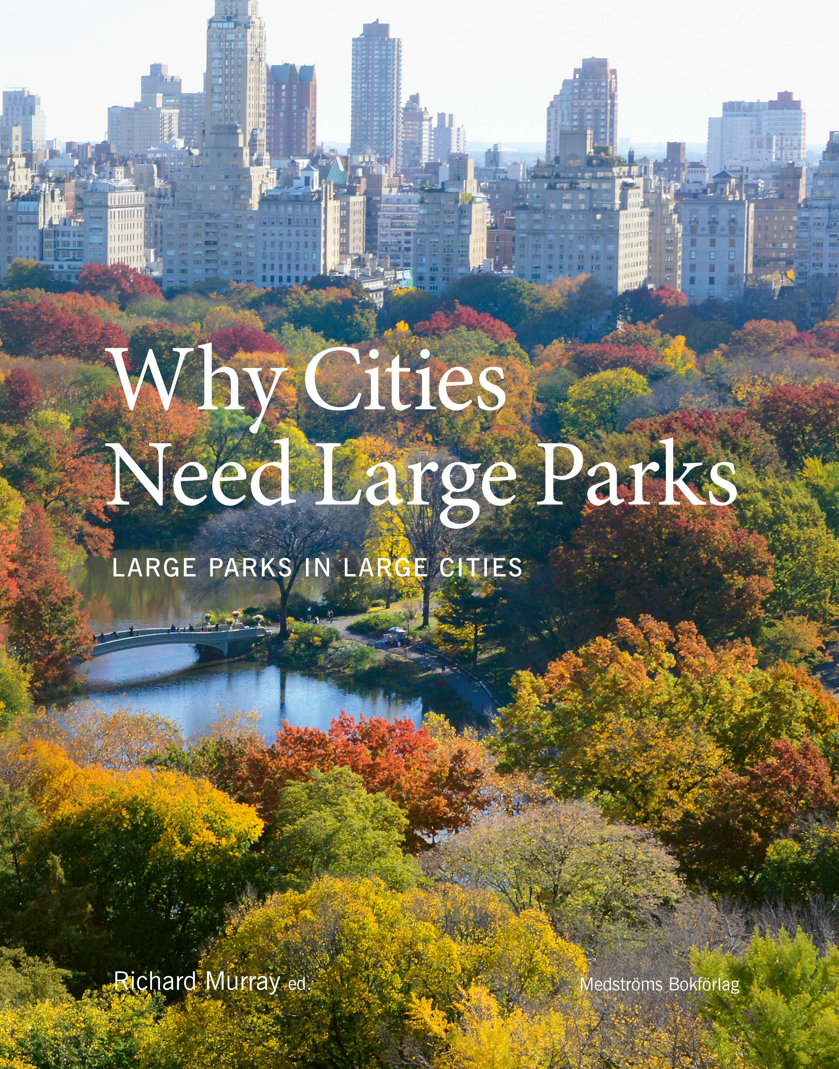 Why cities need large parks : large parks in large cities