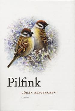 Pilfink