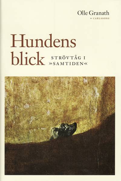 Hundens blick : strövtåg i samtiden