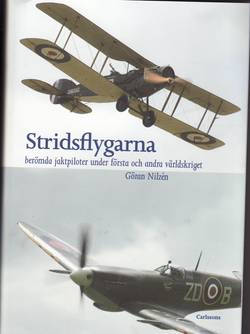 Stridsflygarna : jaktpiloter under första och andra världskriget