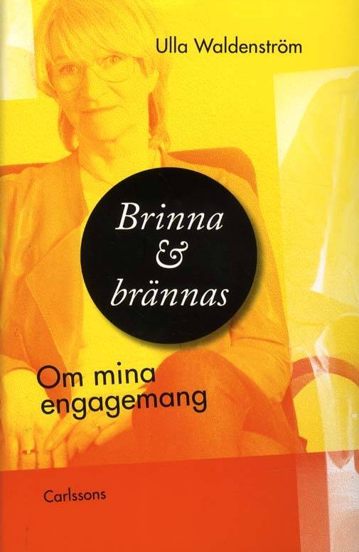 Brinna och brännas : om mina engagemang