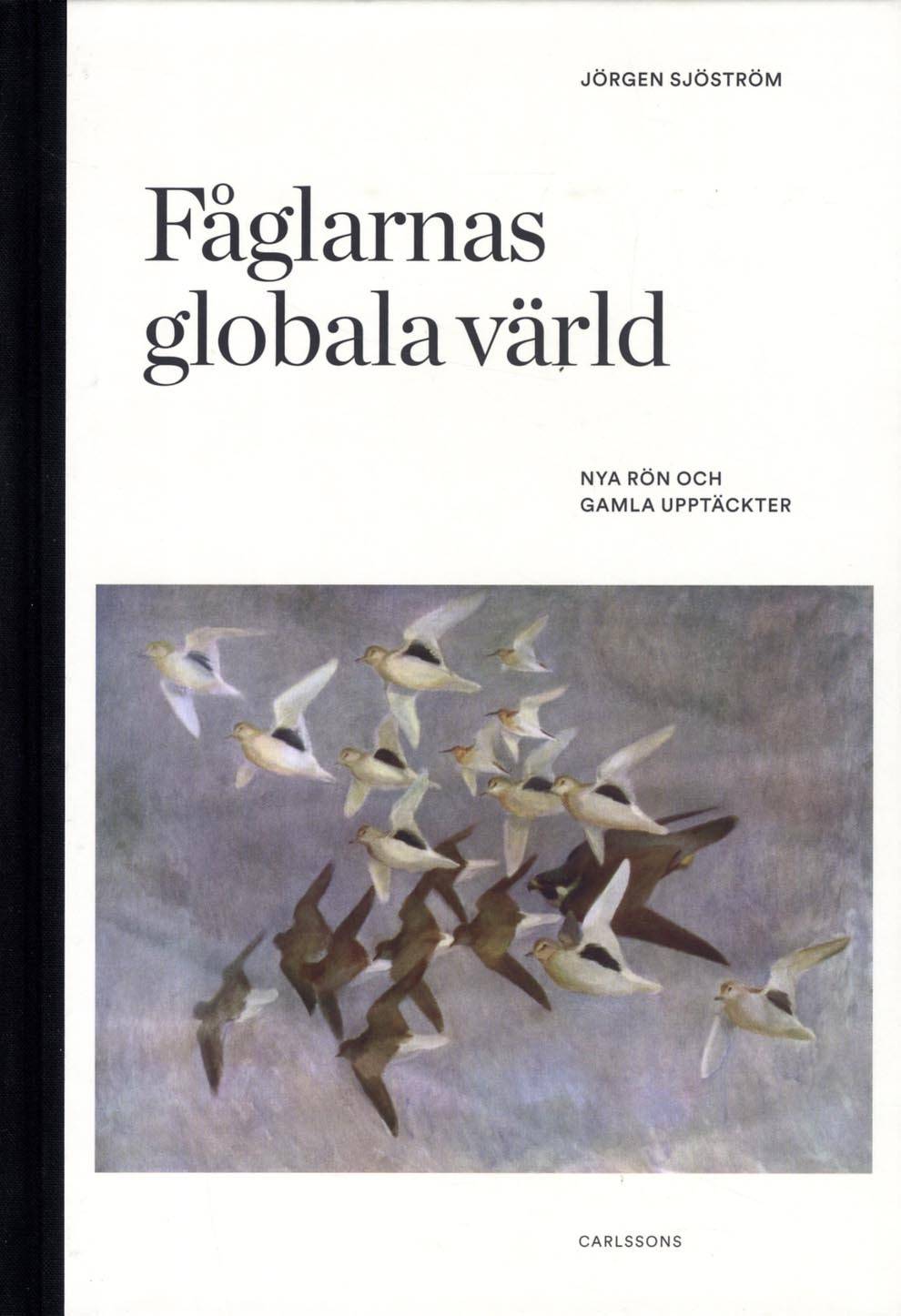 Fåglarnas globala värld : nya rön och gammal kunskap