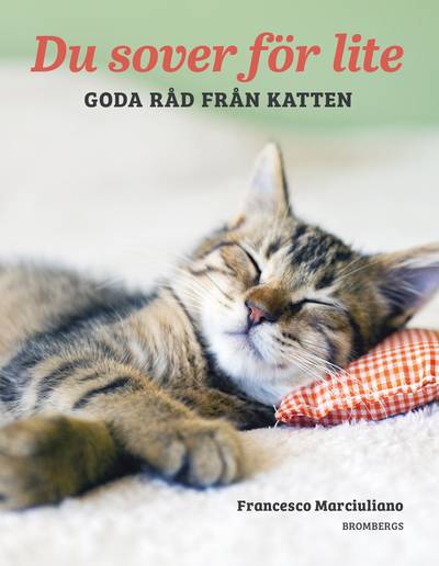 Du sover för lite : goda råd från katten