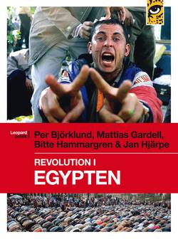 Revolution i Egypten