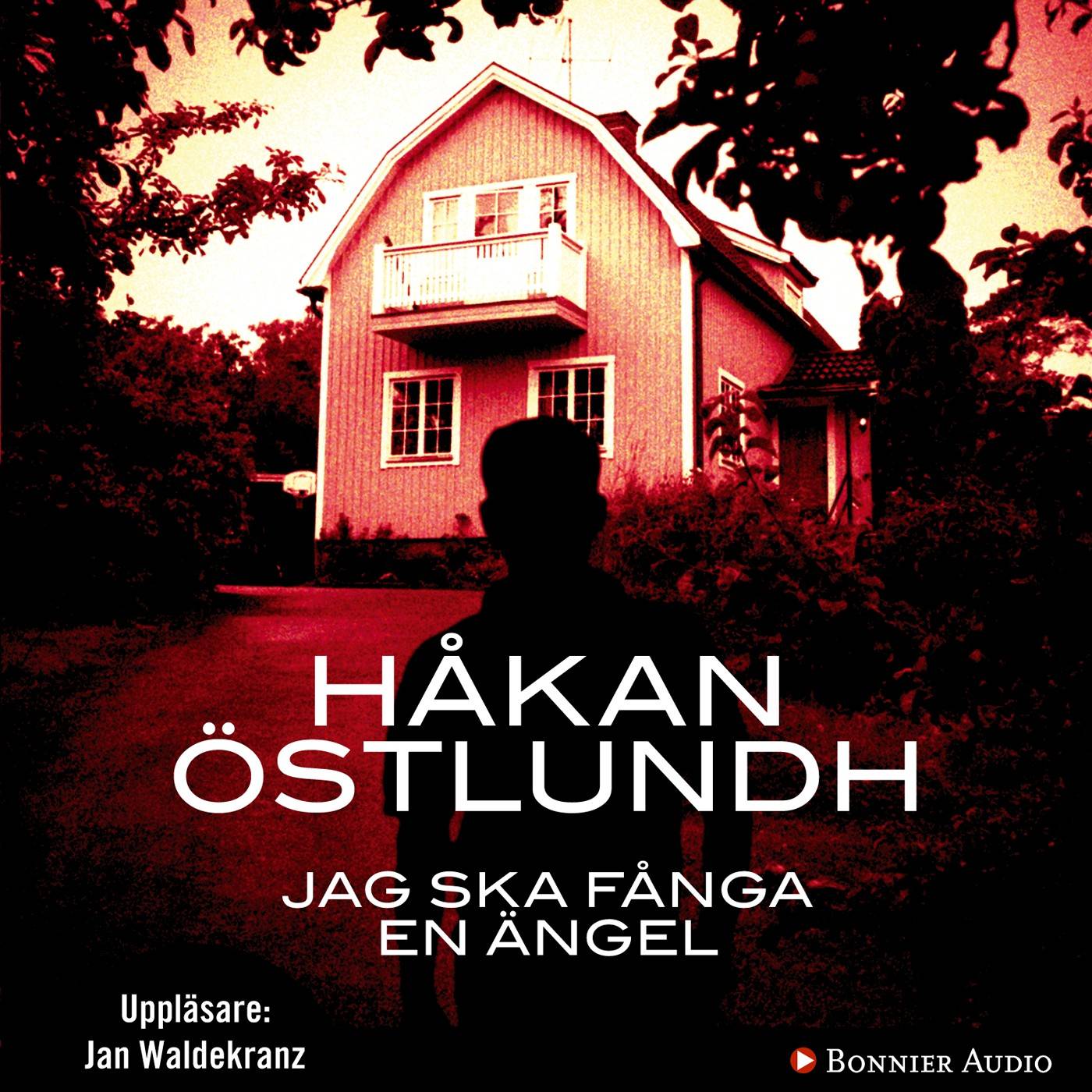 Jag ska fånga en ängel