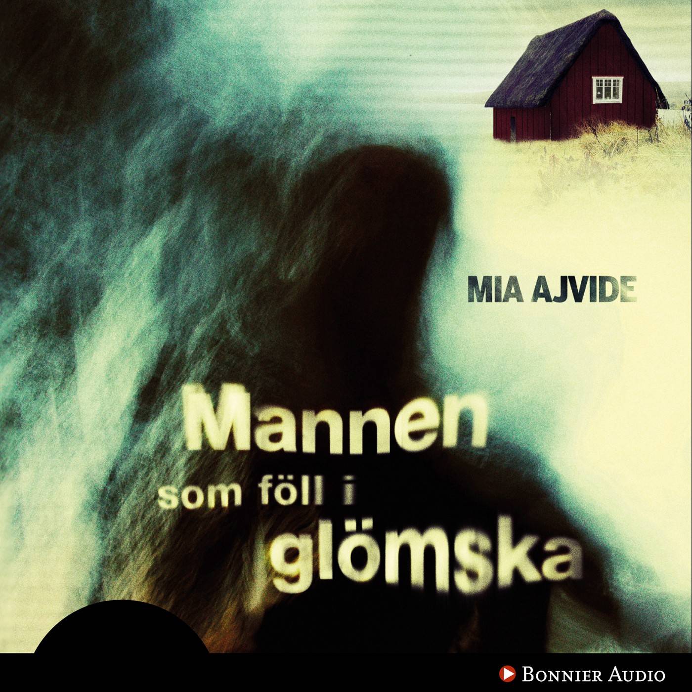 Mannen som föll i glömska