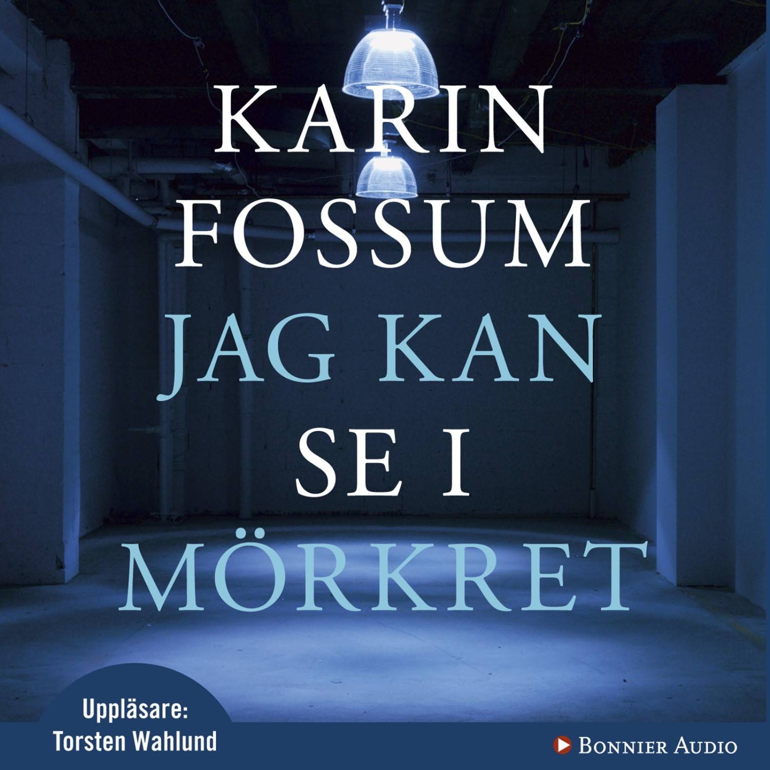 Jag kan se i mörkret