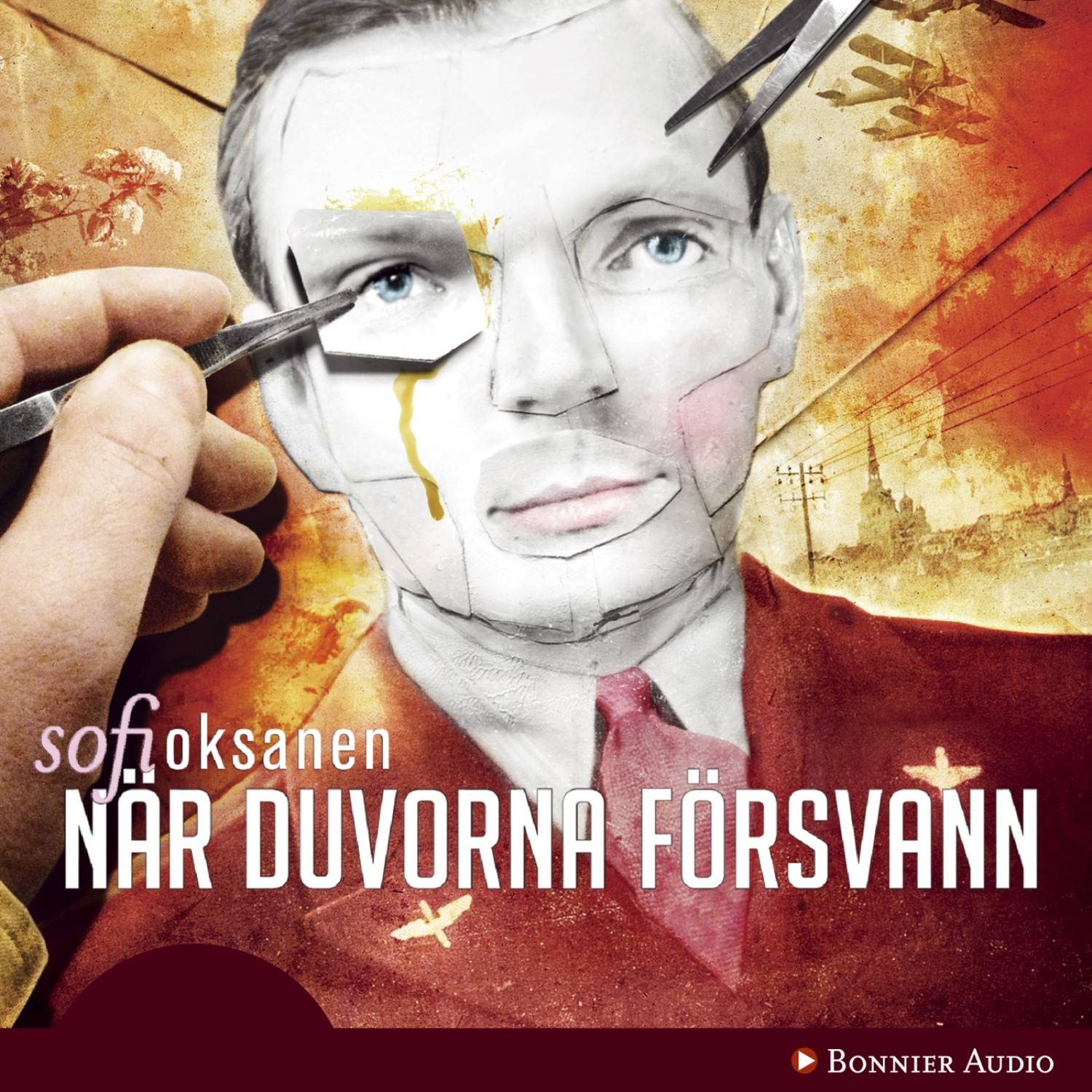 När duvorna försvann