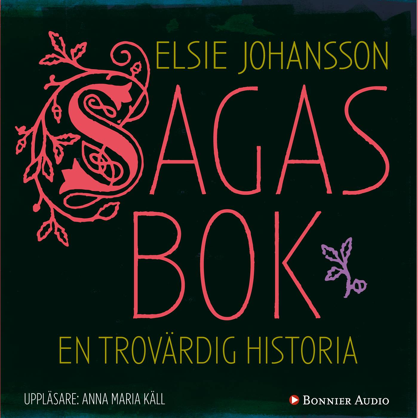 Sagas bok : en trovärdig historia