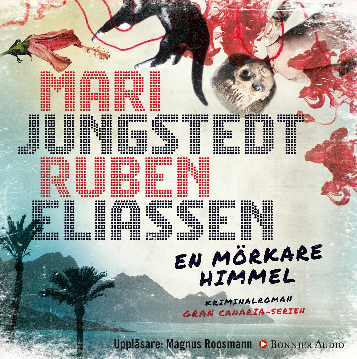 En mörkare himmel
