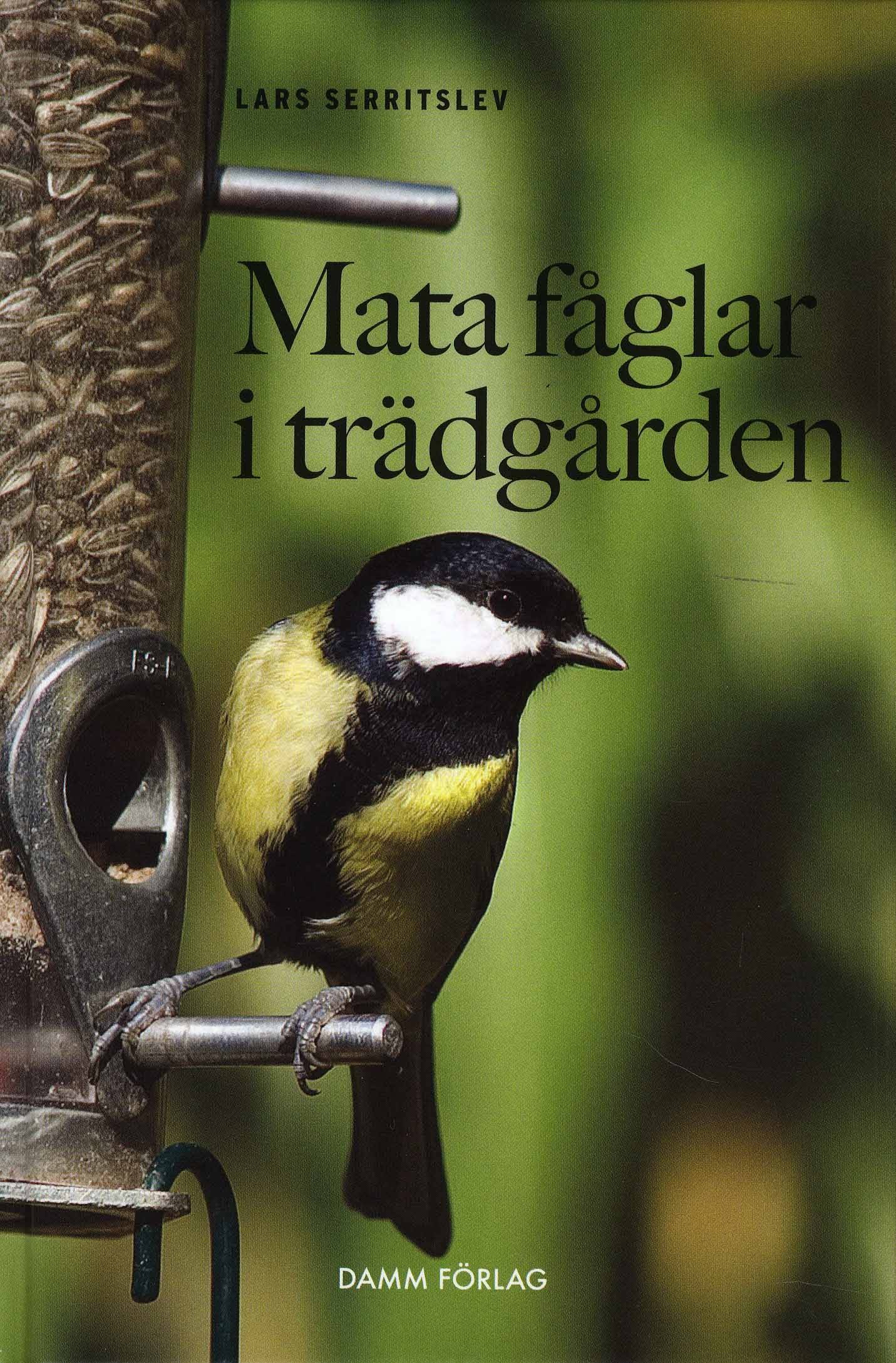 Mata fåglar i trädgården