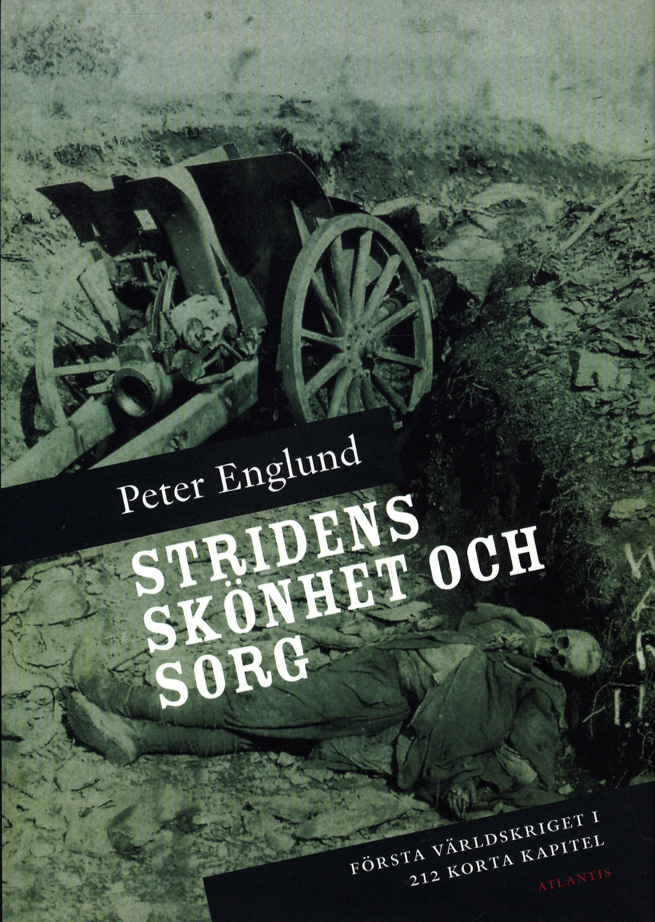 Stridens skönhet och sorg : första världskriget i 212 korta kapitel