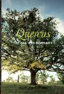 Quercus : The Oak and Diversity