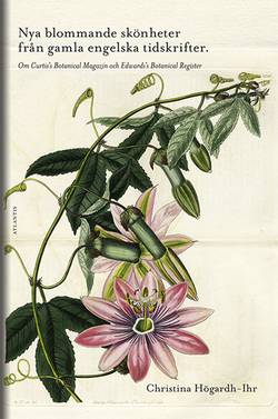 Nya blommande skönheter från gamla engelska tidskrifter - en bok om Curti's