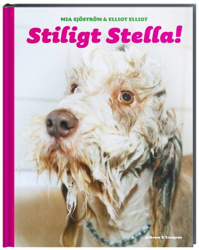 Stiligt Stella!