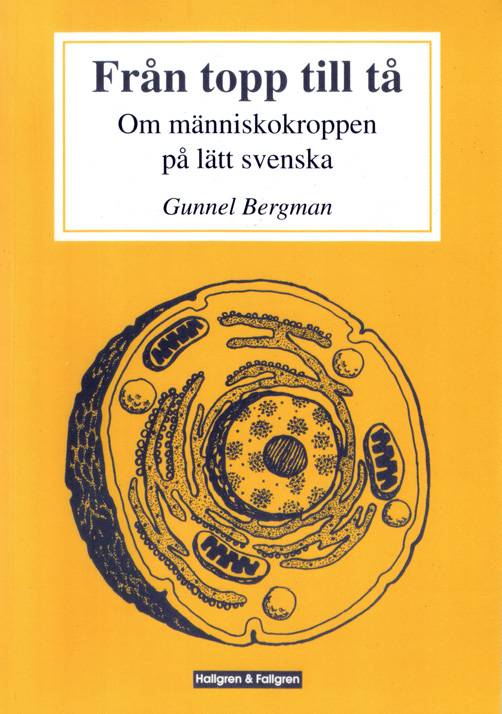 Från topp till tå : om människokroppen på lätt svenska