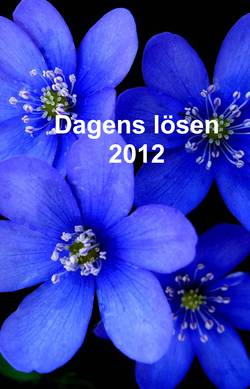 Dagens lösen 2012