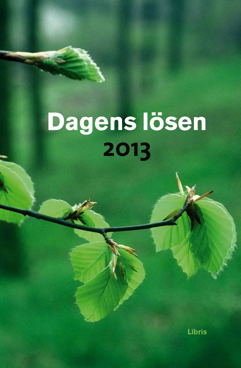 Dagens Lösen 2013