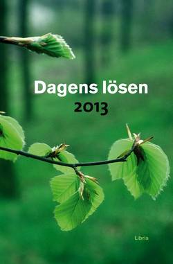 Dagens Lösen 2013