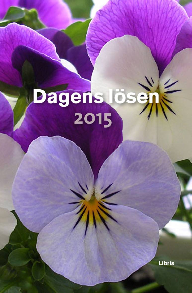 Dagens Lösen 2015