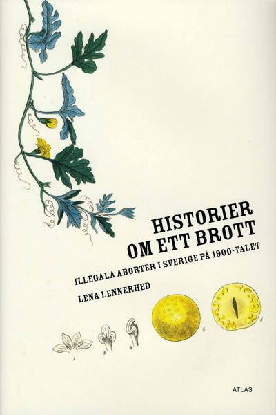 Historier om ett brott : illegala aborter i Sverige på 1900-talet