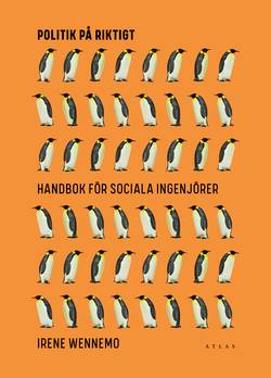 Politik på riktigt : handbok för sociala ingenjörer
