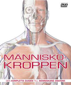 Människokroppen