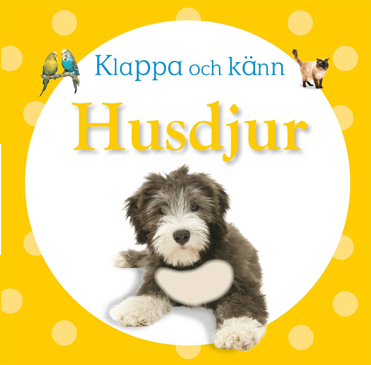 Klappa och känn - husdjur