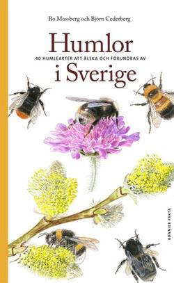 Humlor i Sverige : 40 arter att älska och förundras över