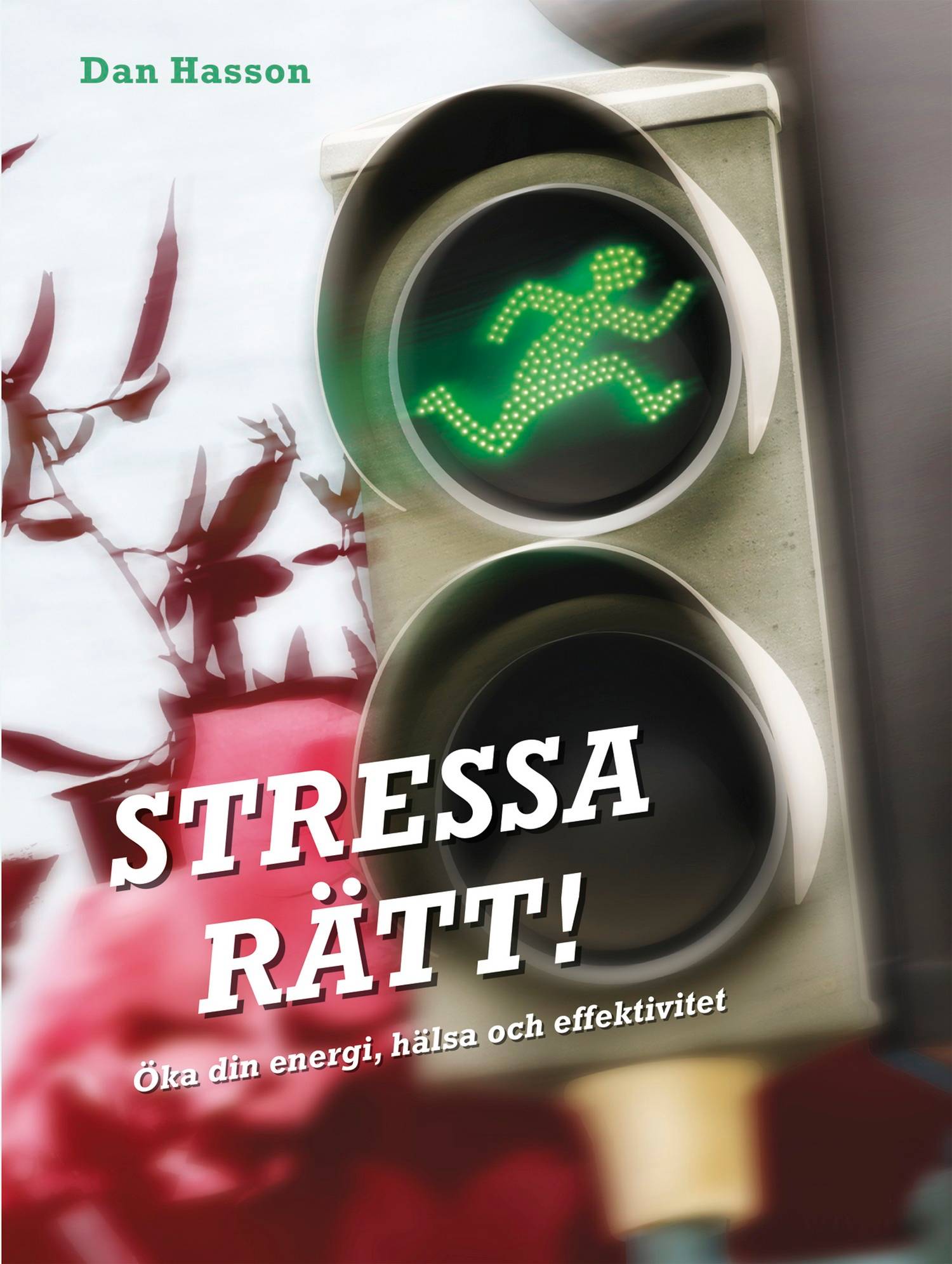 Stressa rätt! : Öka din energi, hälsa och effektivitet