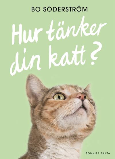 Hur tänker din katt?