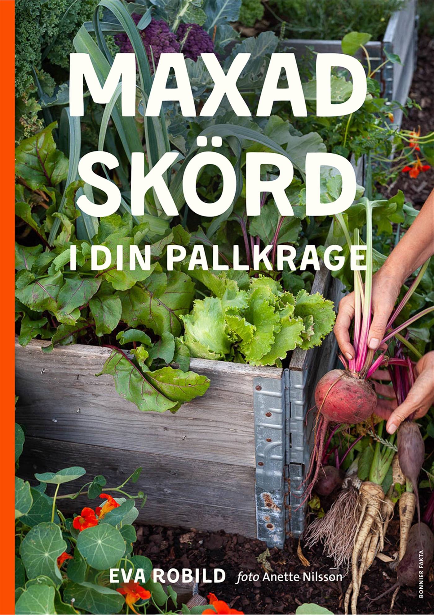 Maxad skörd i din pallkrage