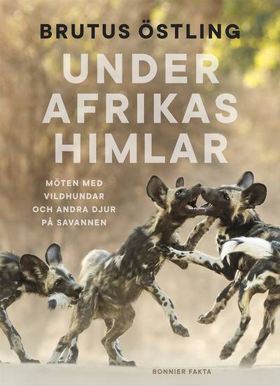 Under Afrikas himlar : Möten med vildhundar och andra djur på savanner