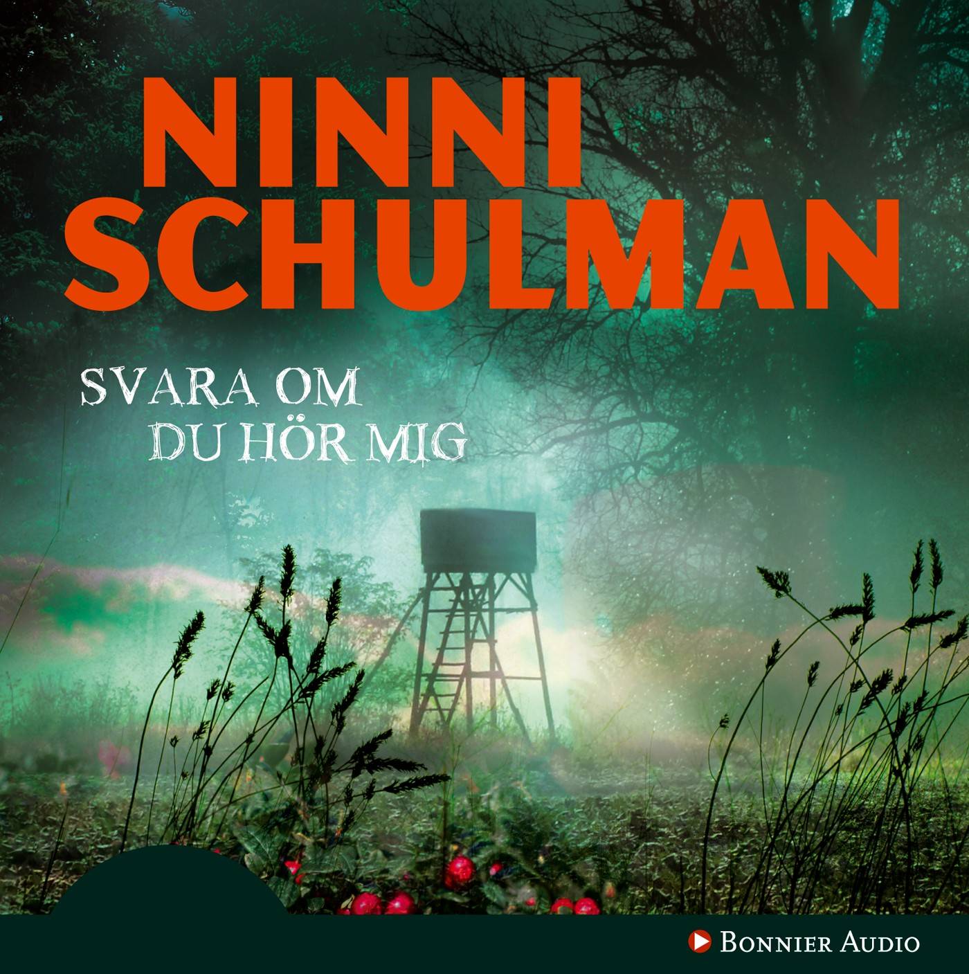 Svara om du hör mig