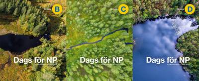 Dags för NP B + C + D : skollicens paket