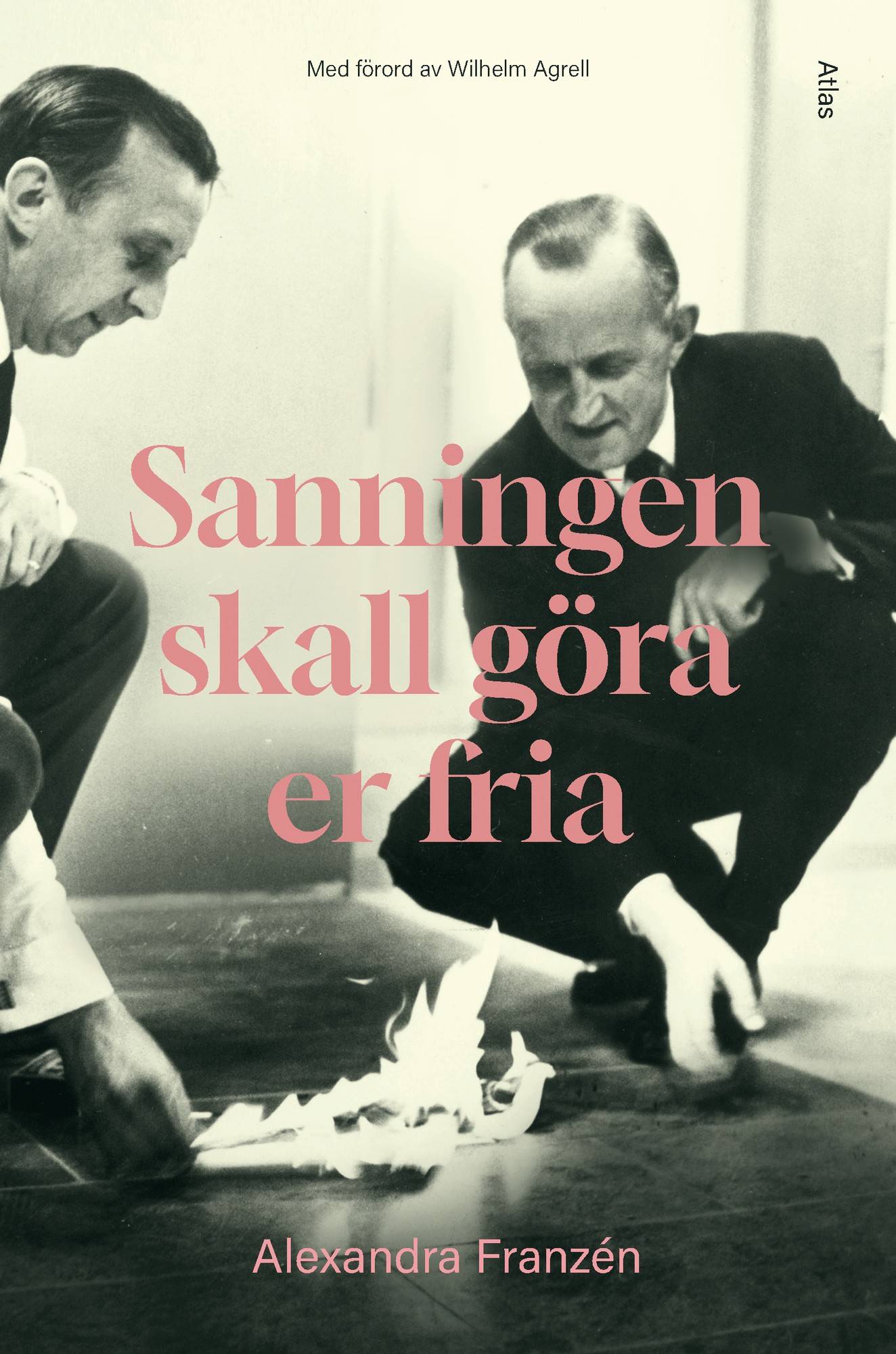 Sanningen skall göra er fria : spionskandaler från Pentagonrapporten till nutid