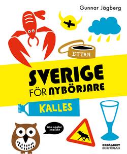 Sverige för nybörjare