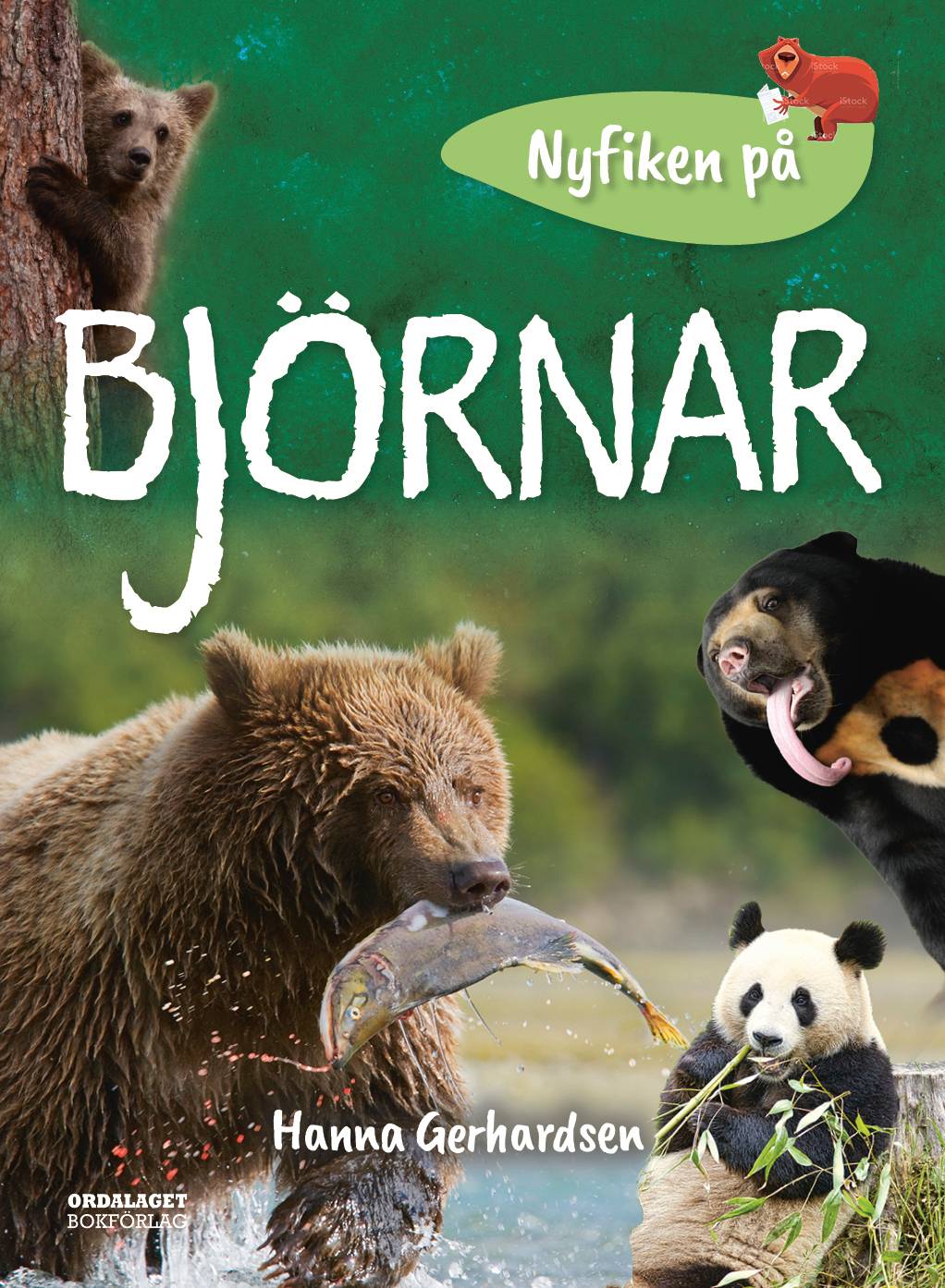 Nyfiken på björnar