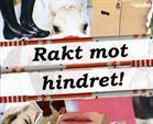 Rakt mot hindret