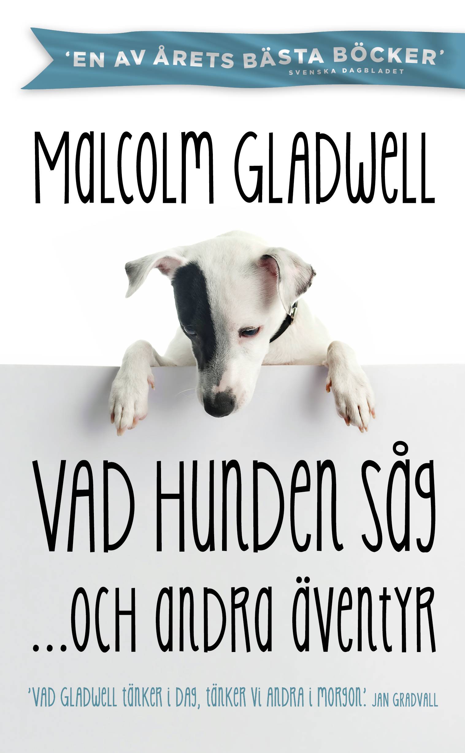 Vad hunden såg och andra äventyr