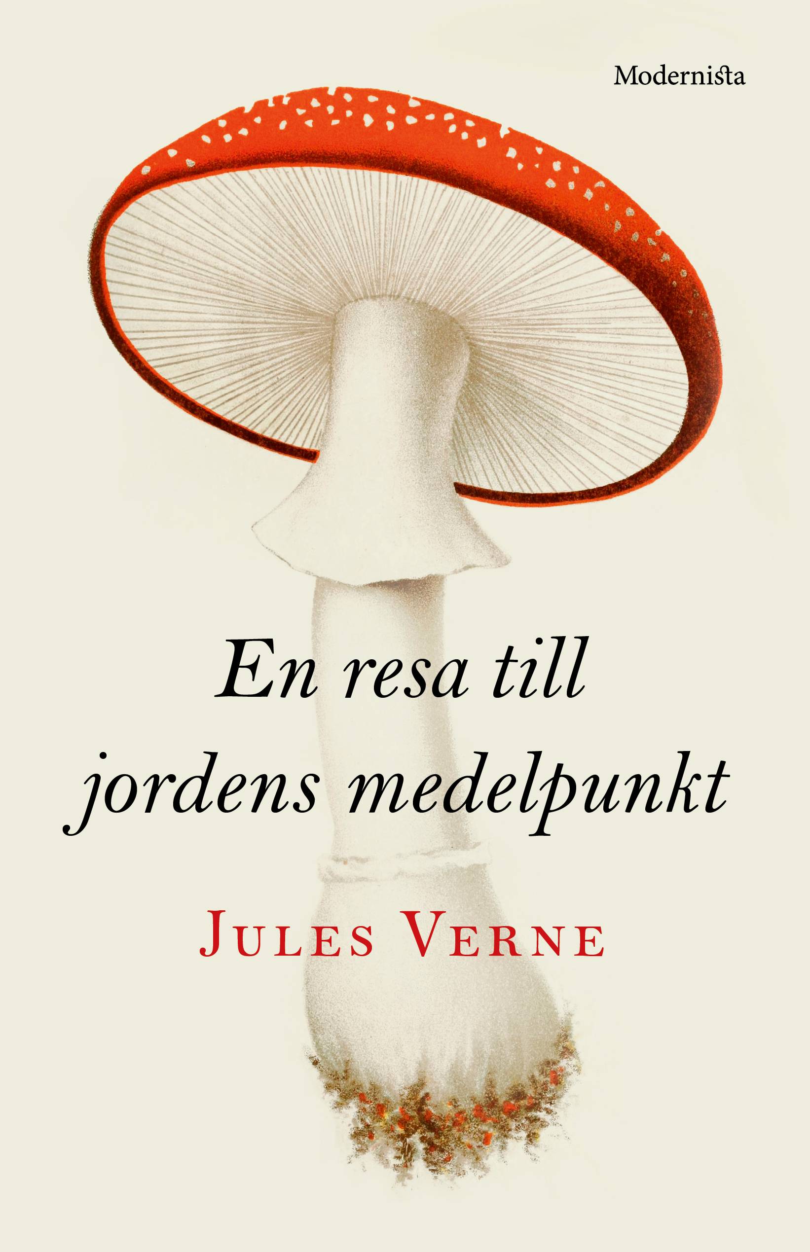 En resa till jordens medelpunkt